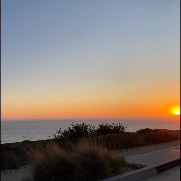 Meet your Posher, Bianca - Picture 1 of 1